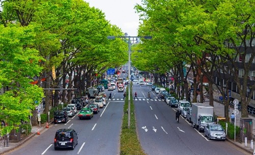 合同会社NAOトラスト